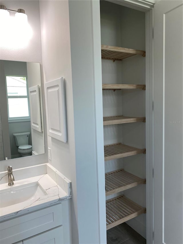 interior space featuring vanity and toilet