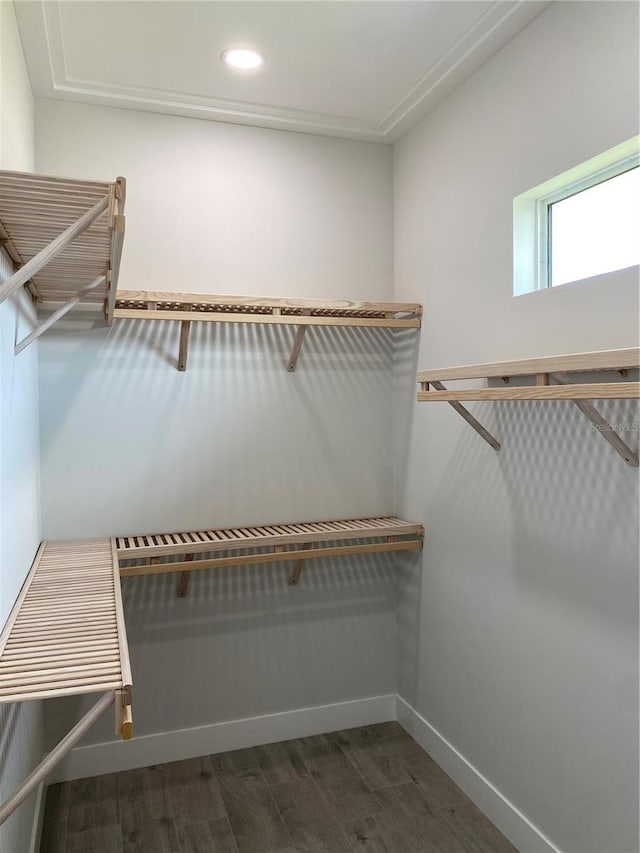 walk in closet featuring dark hardwood / wood-style floors