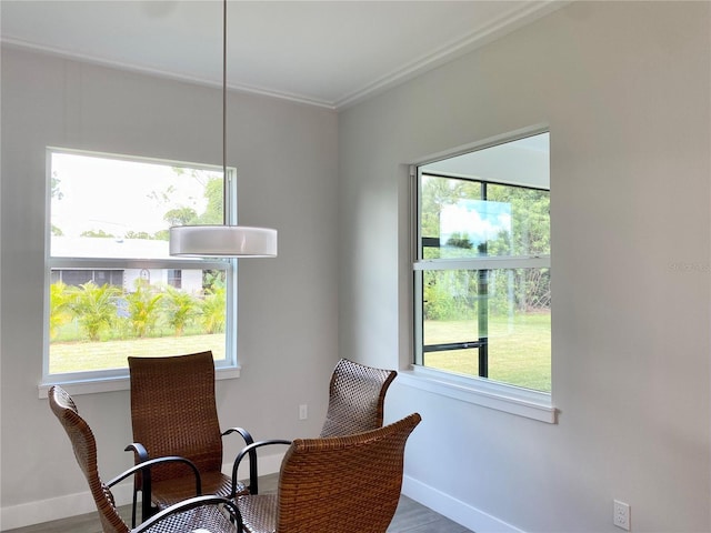living area with baseboards and a healthy amount of sunlight