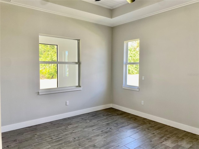 unfurnished room with a tray ceiling, crown molding, a ceiling fan, wood finished floors, and baseboards