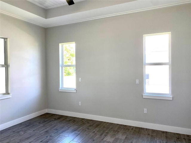 spare room with dark hardwood / wood-style floors