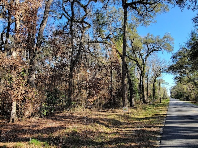 SW Newark Dr, Fort White FL, 32038 land for sale