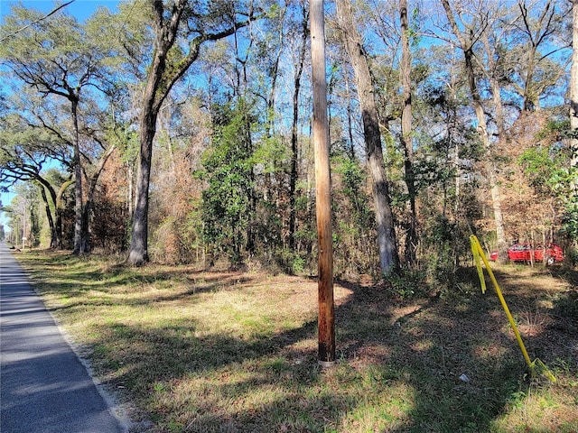 SW Newark Dr, Fort White, FL 32038 - photo 1
