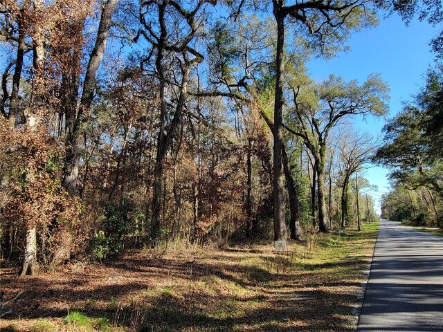 SW Newark Dr, Fort White, FL 32038 - photo 2