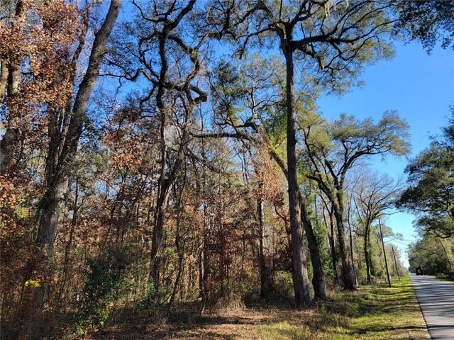 SW Newark Dr, Fort White, FL 32038 - photo 4