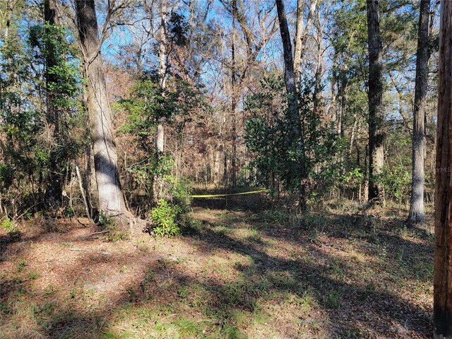 SW Newark Dr, Fort White, FL 32038 - photo 5