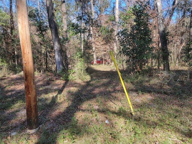 SW Newark Dr, Fort White, FL 32038 - photo 6