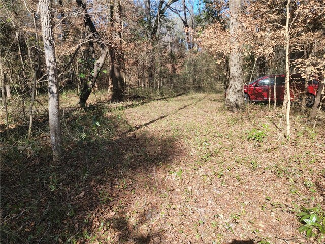SW Newark Dr, Fort White, FL 32038 - photo 7