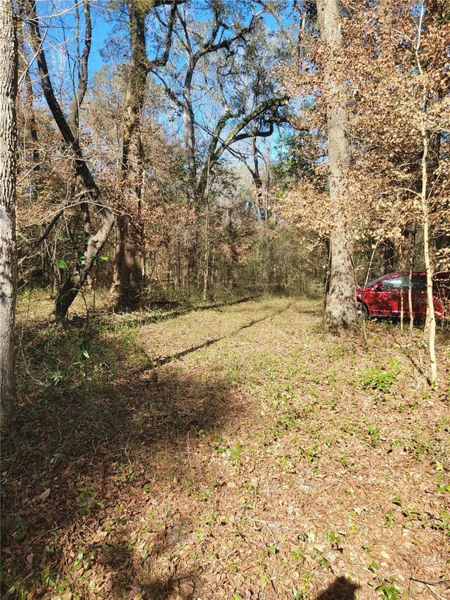 SW Newark Dr, Fort White, FL 32038 - photo 8