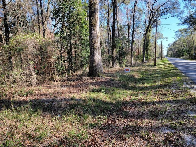 SW Newark Dr, Fort White, FL 32038 - photo 9