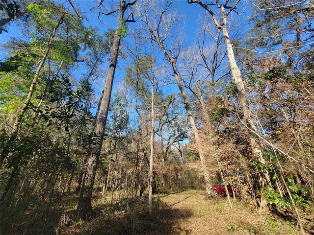 SW Newark Dr, Fort White, FL 32038 - photo 10