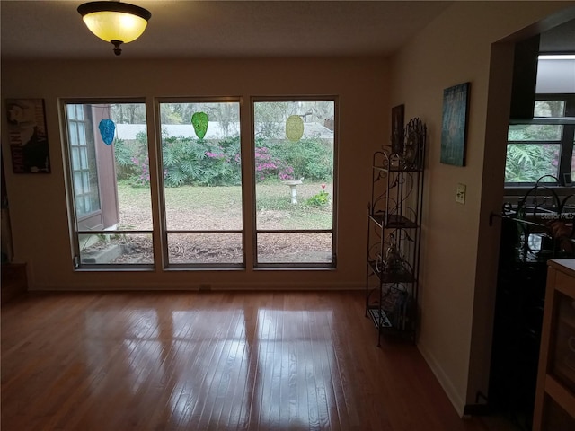 entryway featuring hardwood / wood-style floors