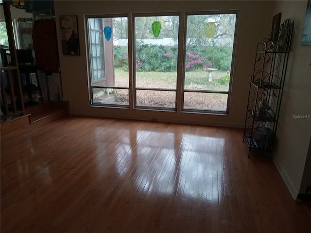 interior space with wood-type flooring and a healthy amount of sunlight