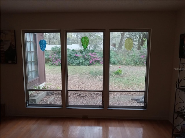 doorway to outside featuring wood-type flooring