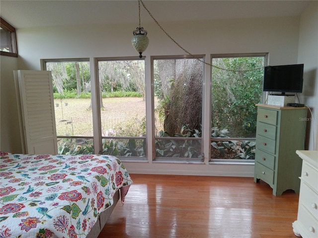 bedroom featuring light hardwood / wood-style floors