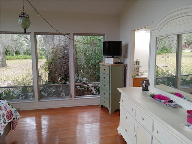 bedroom with light hardwood / wood-style flooring