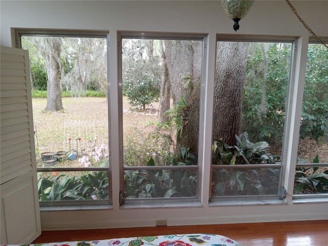 doorway to outside featuring a healthy amount of sunlight and hardwood / wood-style floors