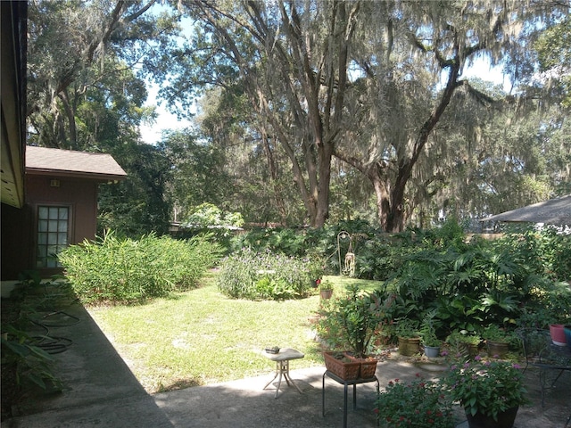 view of yard with a patio area