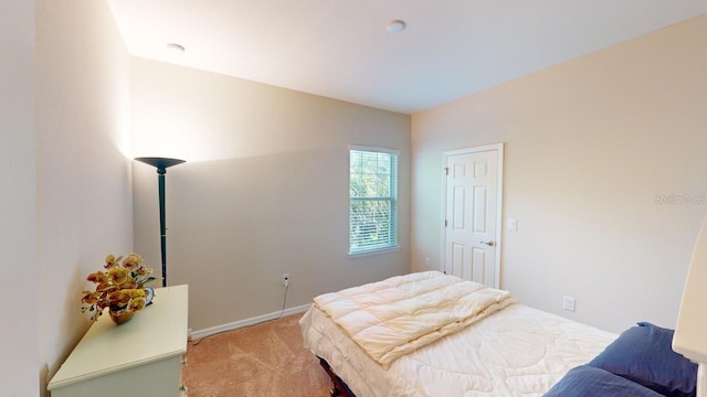 bedroom featuring carpet floors