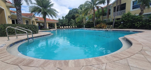 view of pool featuring a patio