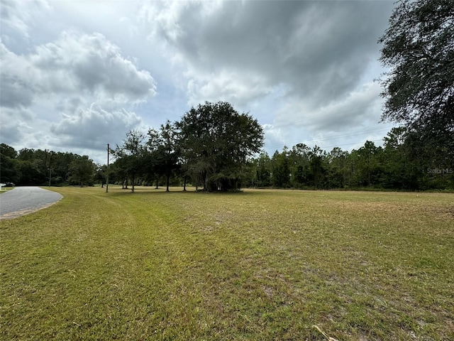 SW 80th Pl, Hampton FL, 32044 land for sale