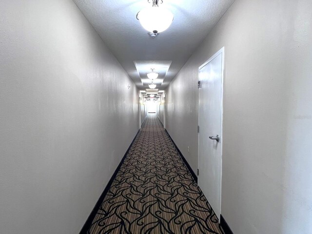 7395 Universal Blvd Unit 904, Orlando, FL 32819 - photo 10