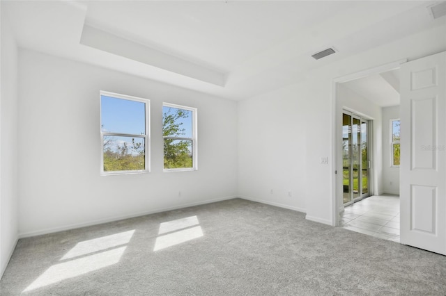 unfurnished room with light carpet and a raised ceiling