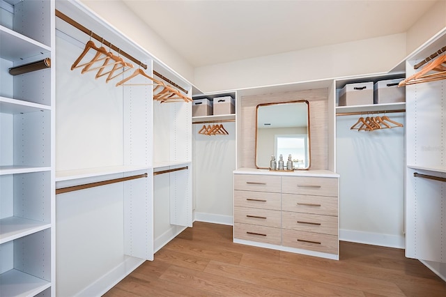 spacious closet featuring hardwood / wood-style floors