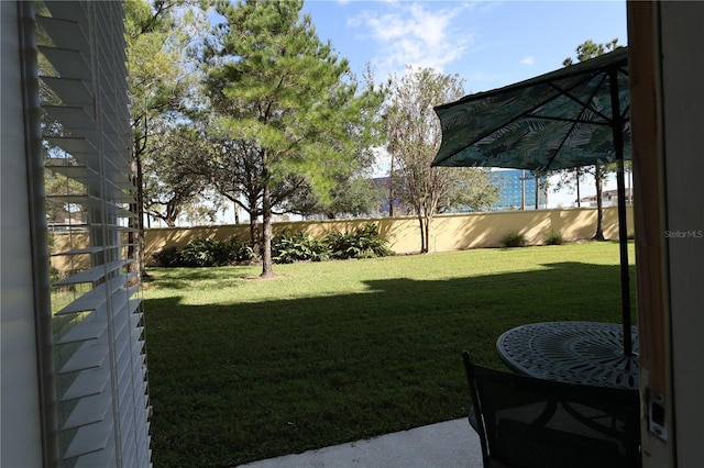 5002 Tideview Cir Unit 3, Orlando, FL 32819 - view of yard with a fenced backyard