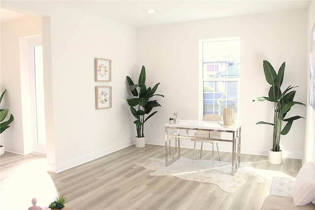 office featuring light hardwood / wood-style floors