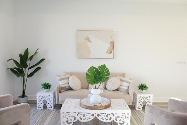 living room featuring hardwood / wood-style flooring