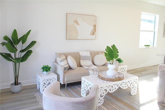 living room with wood-type flooring