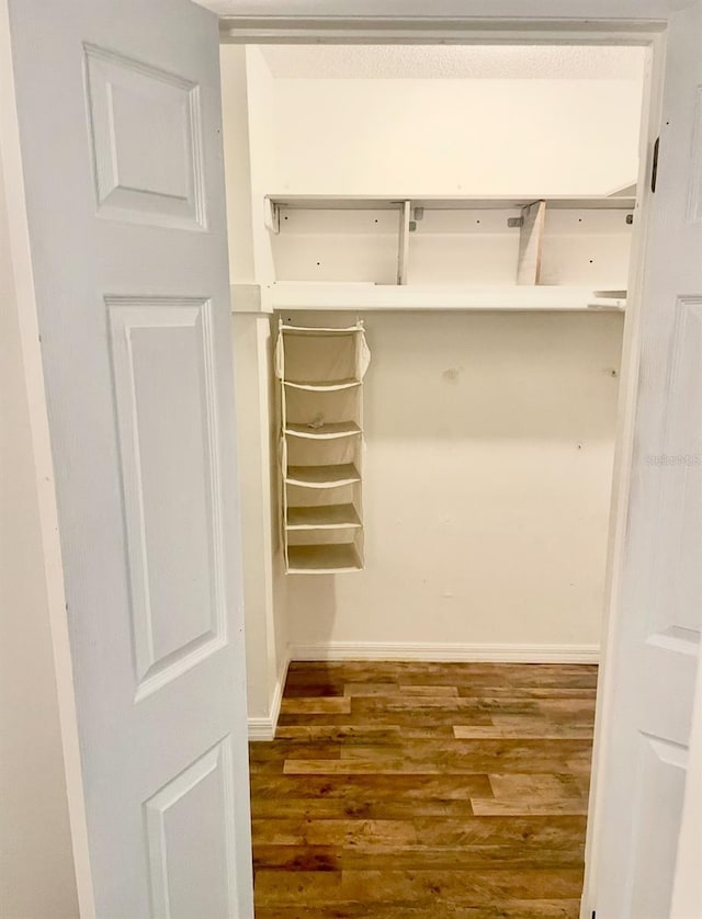 spacious closet with wood finished floors