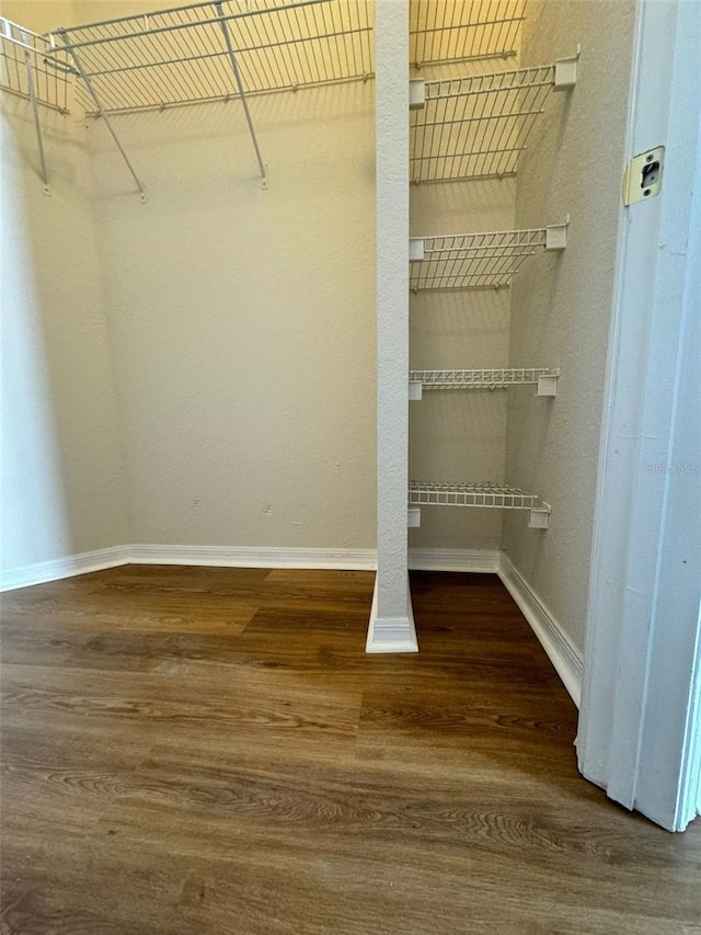 walk in closet featuring dark hardwood / wood-style flooring