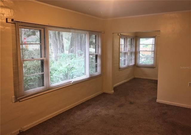 2703 NW 2nd Ave, Gainesville, FL 32607 - photo 5