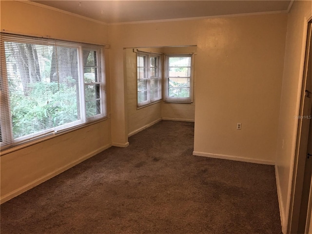 carpeted spare room featuring a wealth of natural light and crown molding