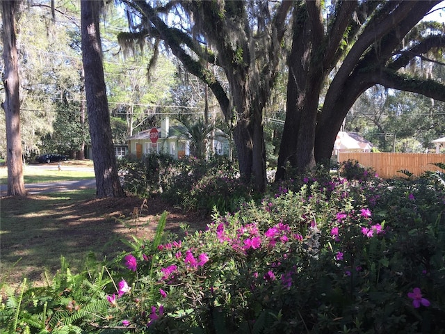 2703 NW 2nd Ave, Gainesville, FL 32607 - photo 23