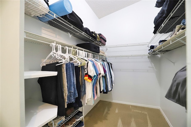 spacious closet featuring carpet flooring