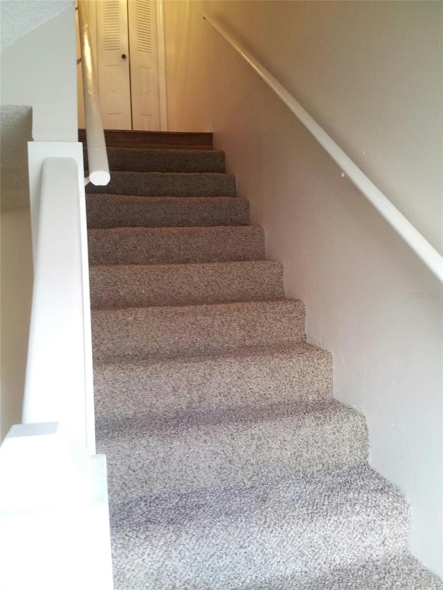 stairway featuring carpet floors