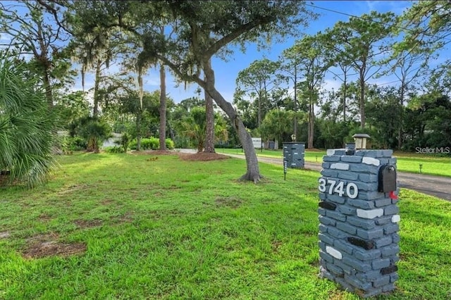 view of community featuring a yard