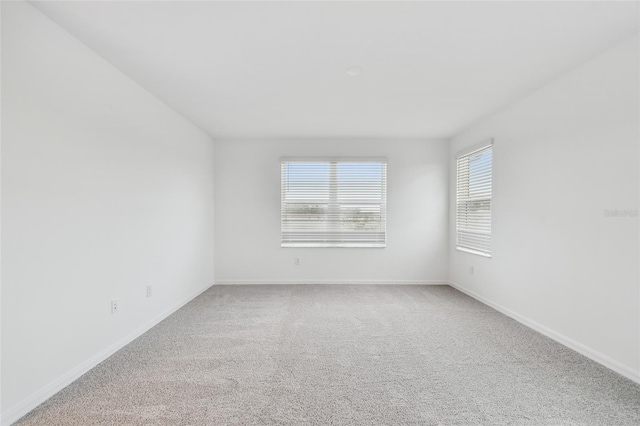 spare room featuring carpet floors