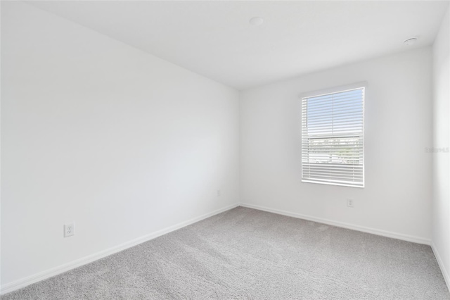 spare room with carpet floors