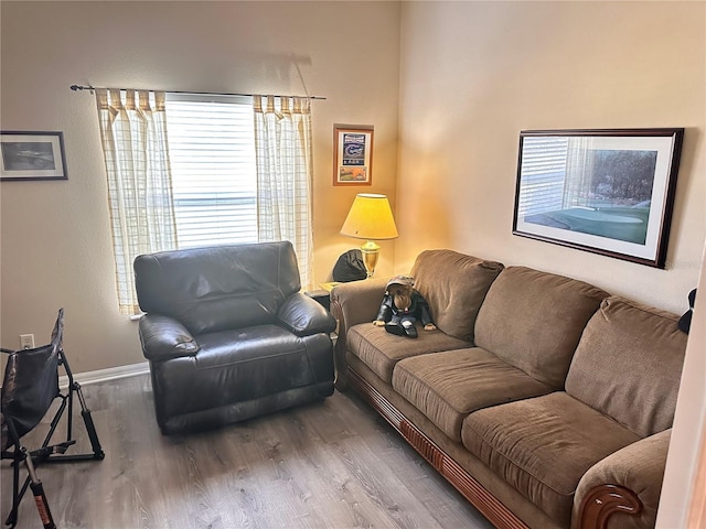 living room featuring hardwood / wood-style flooring