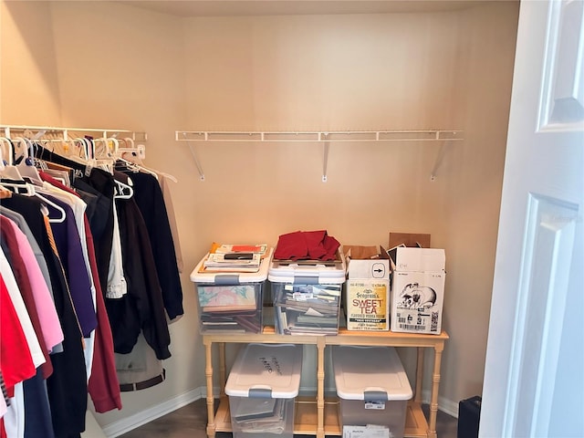 spacious closet featuring wood-type flooring