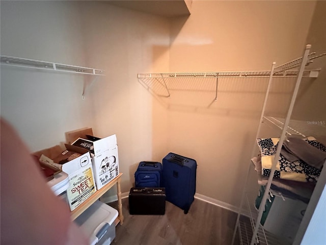 walk in closet featuring wood-type flooring