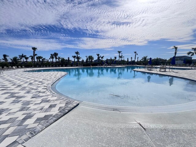 view of swimming pool with a patio