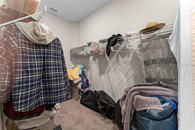 spacious closet with carpet flooring