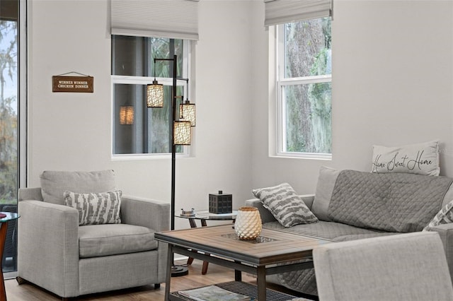 sitting room with light hardwood / wood-style flooring