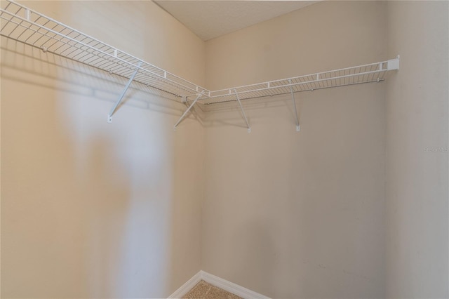 spacious closet with carpet flooring