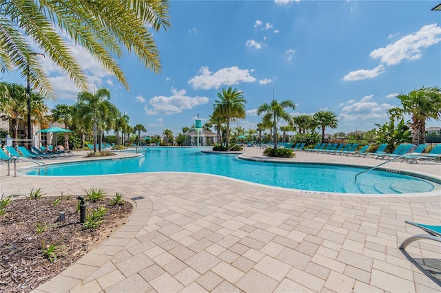 view of pool with a patio